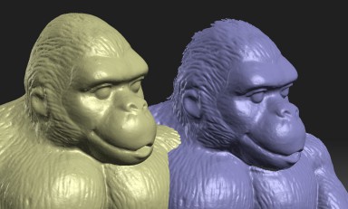 Gorilla compare 2.JPG