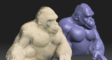 Gorilla compare 3.JPG