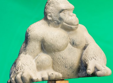 Gorilla compare 5.JPG