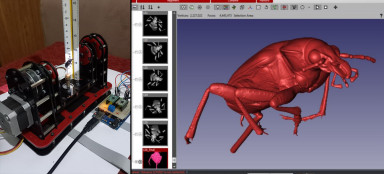 Beetle 3D scan in FlexScan3D 1.jpg