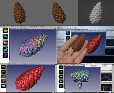 Pine Fruit FlexScan3D.jpg